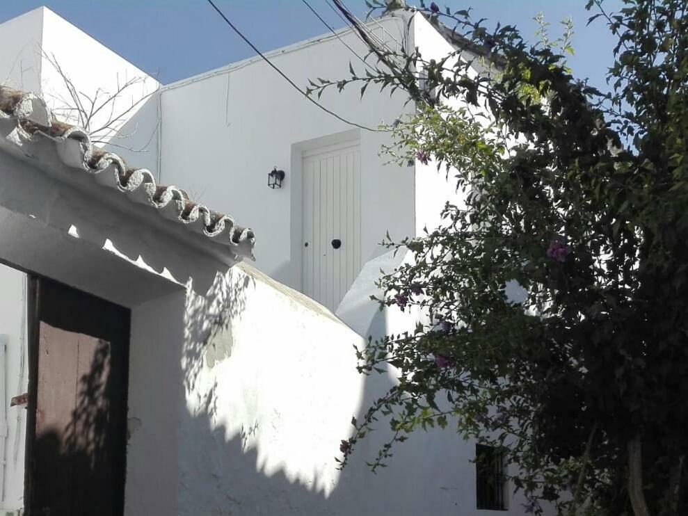 Casa Patio Paraiso 베예데라프론테라 외부 사진