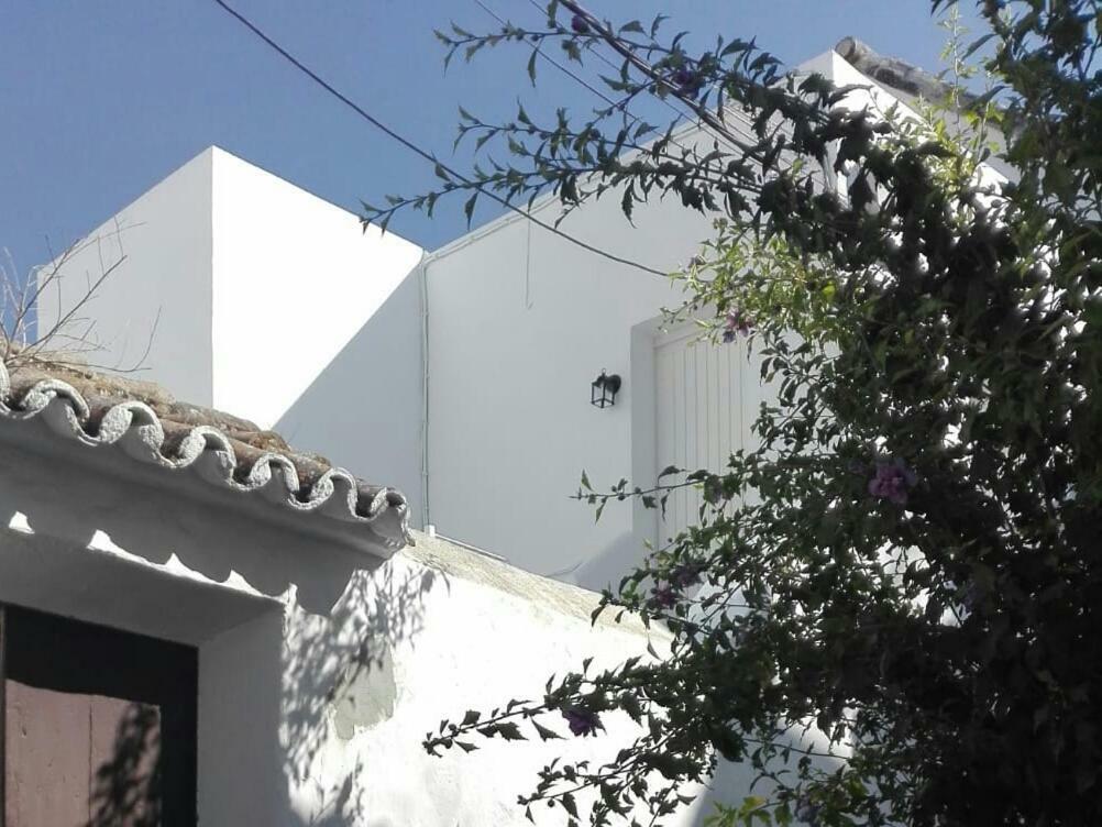 Casa Patio Paraiso 베예데라프론테라 외부 사진